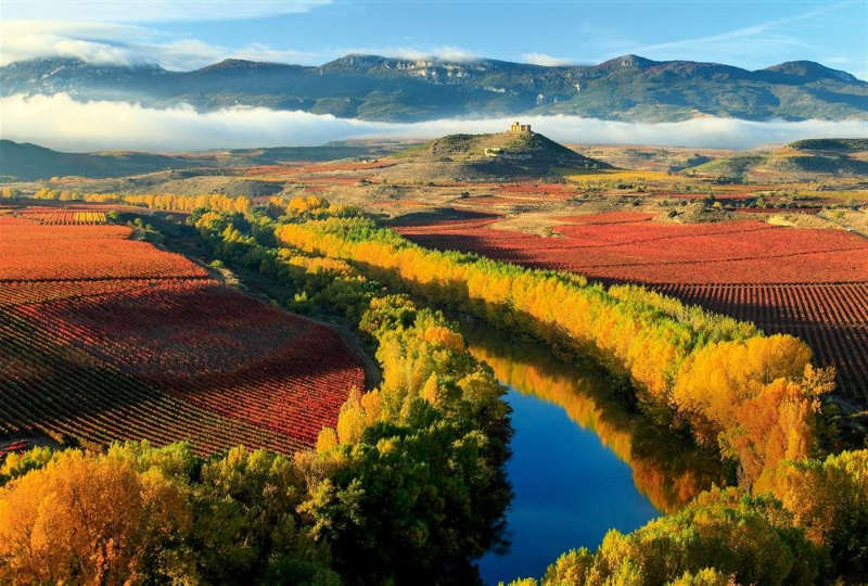 Viñedos La Rioja - lugares turisticos españa